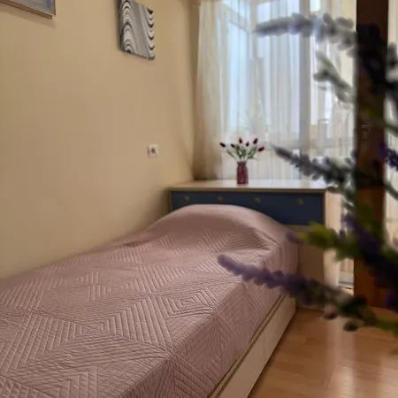 Apartman Cozy Selvia *