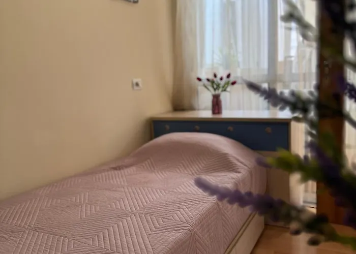 アパート Cozy Selvia *